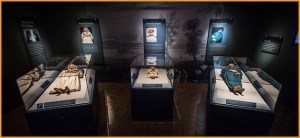 courtesy of the Cincinnati Museum Center